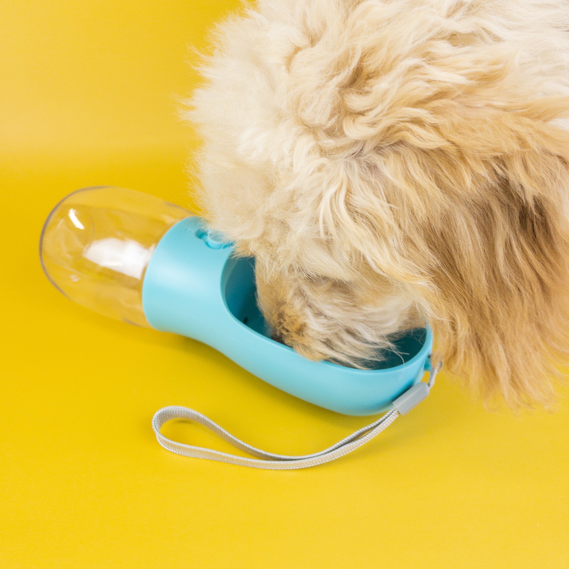 Green Waves Co Pet Water Bottle