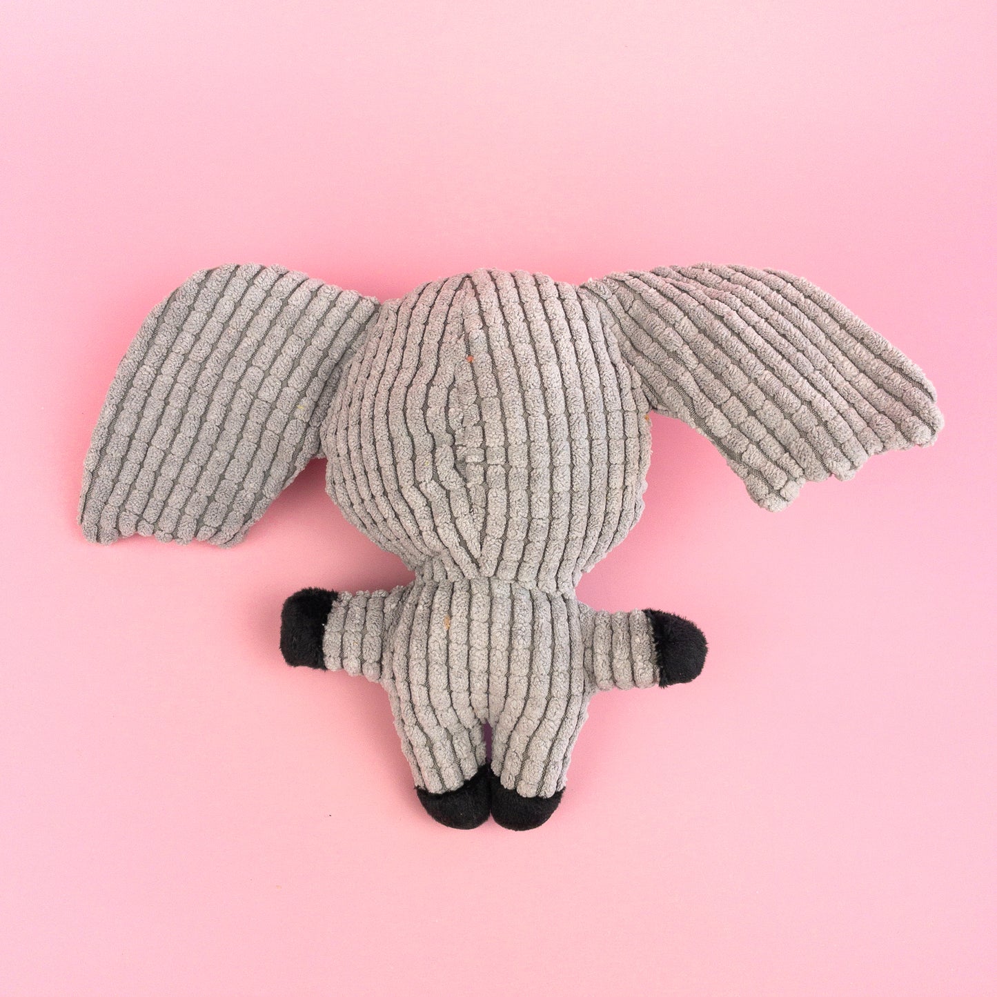 Koala Small Plush Toy